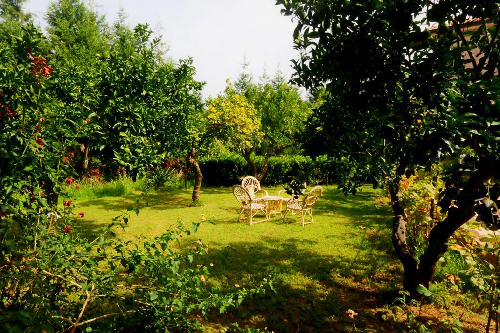 Aparthotel Residenza La Vigna à Parghelia Extérieur photo