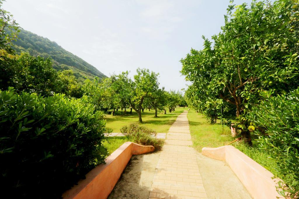 Aparthotel Residenza La Vigna à Parghelia Extérieur photo