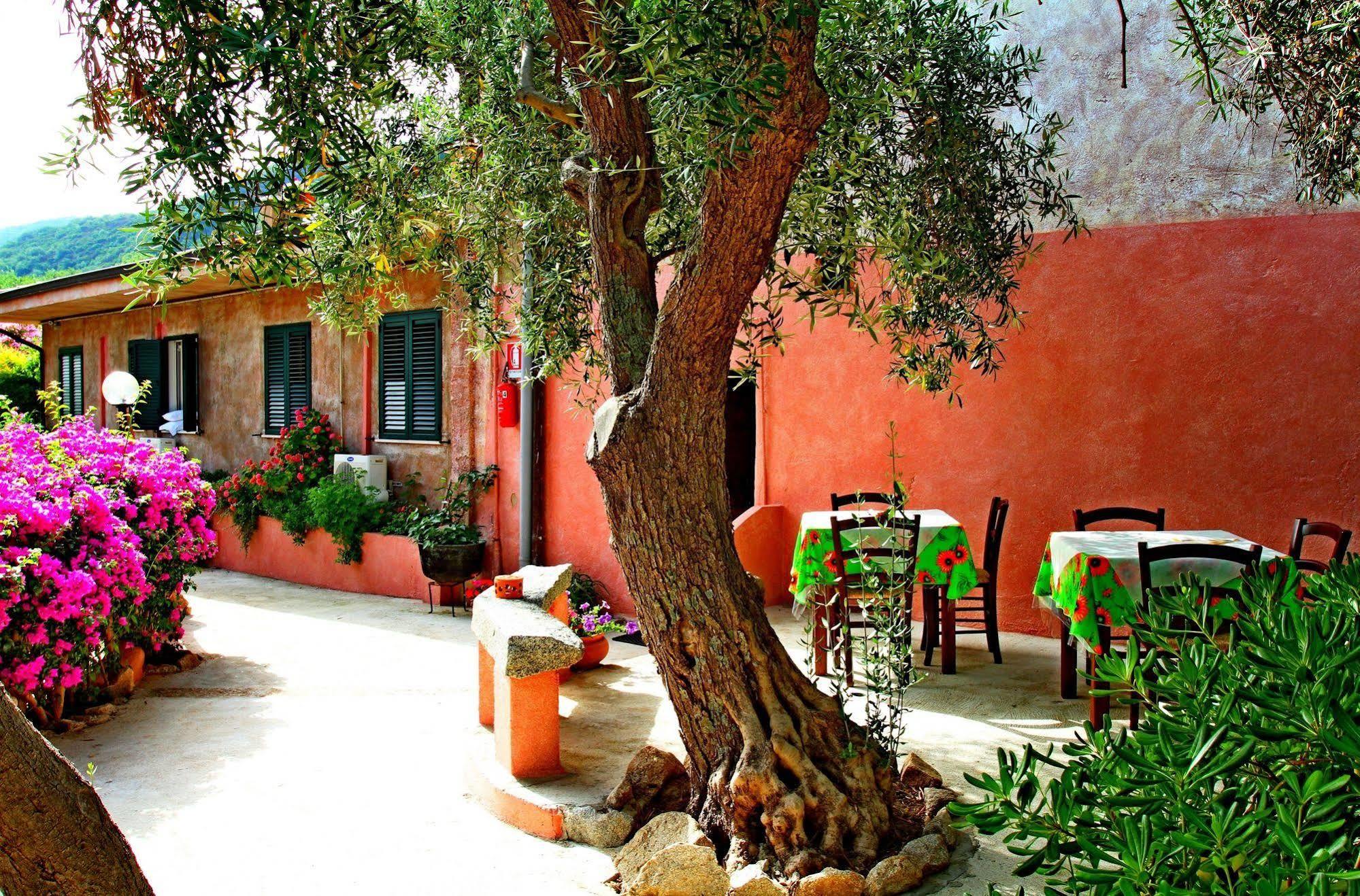 Aparthotel Residenza La Vigna à Parghelia Extérieur photo
